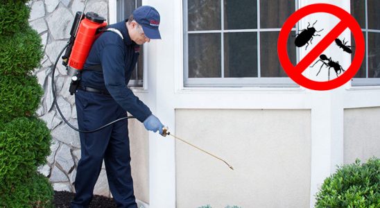 Hisarcık Kemirgen İlaçlama böcek ilaçlama ve haşere kontrolü — ilaclama-tr.com
